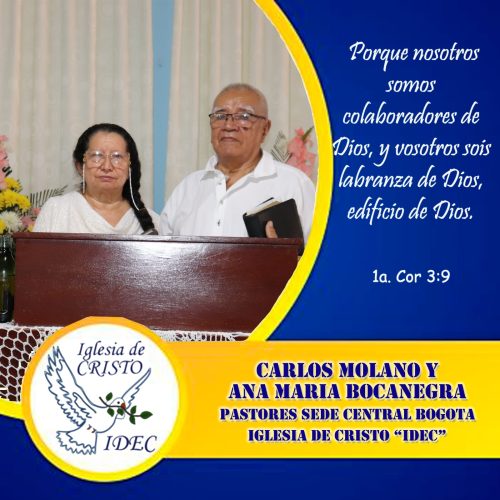 Imagen de WhatsApp 2025-01-14 a las 17.47.54_6d081d5f